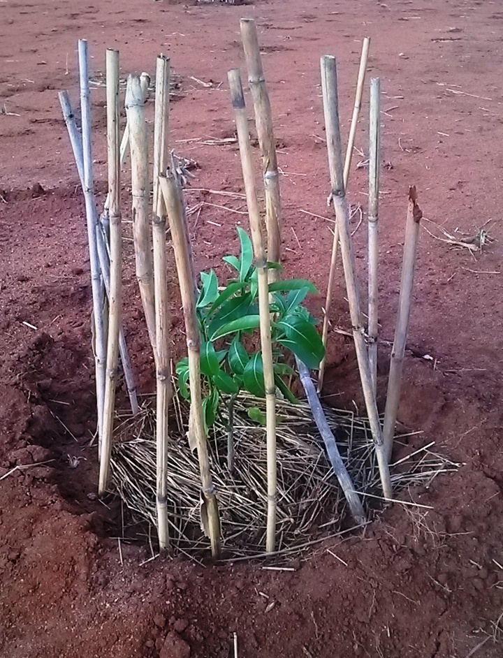 WP 20160504 15 18 03 Smart